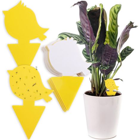 Kit d'autocollants Piege a Insectes de I 30 Piege Jaunes Anti moucherons Interieur, Anti sciarides, Designs différents I Plaquette Jaune, piege Anti Mouche piege a Mouche… (1/5)