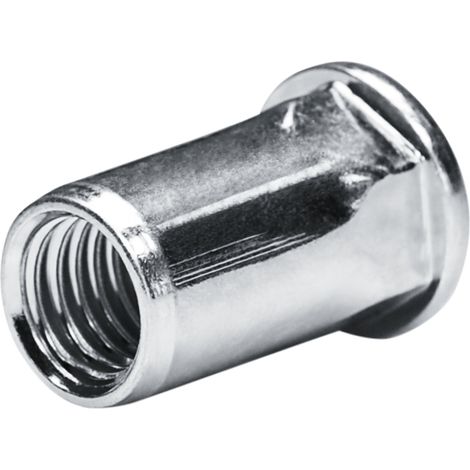 GOEBEL - 250 x Écrou à sertir M 5 - Acier  [ AISI 1008 ] Zingué - Tête plate Arbre hexagonal partiel  - Extrémité de l'arbre  ouverte - GO-NUT - 7550500200 (1/5)