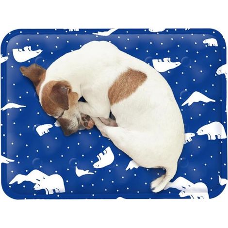 Tapis rafraîchissant pour Chien, Durable, 40x50cm Coussin de Refroidissement pour Animal Domestique, Lavable, Tapis de Glace pour Chat, Auto-Refroidissement (1/5)