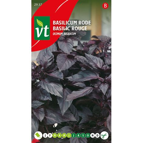 Basilic Rouge - Ca. 0,5 gr (Livraison Gratuite)