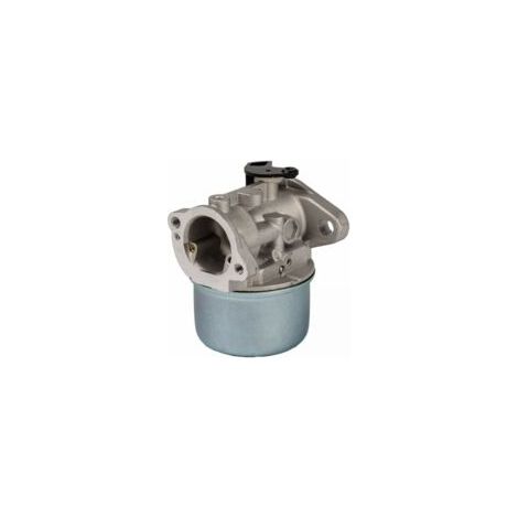 LAN Carburateurs compatibles avec les moteurs 799868 498170 497586 498254 497314 497347