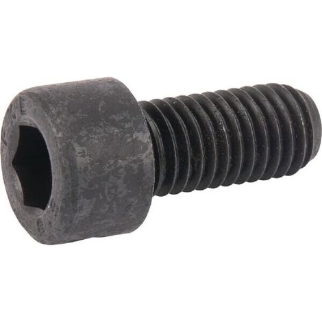 Zyl. Innensechskantschraube M10x22 LELY 9105700091