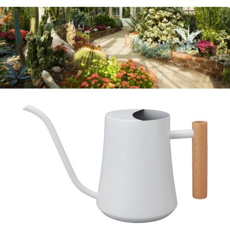 [Gießkanne] Kleine Retro-Gießkanne aus Edelstahl mit Holzgriff, 1000 ml, Weiß, für Zimmer- und Gartenpflanzen (1/5)
