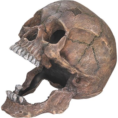 Nobby - Adorno de acuario con forma de calavera, 13,5 x 20 x 16,5 cm