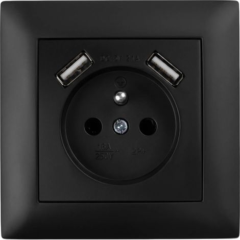 Toolight Single Grounded Socket With Frame + 2x Usb-a Oste Jnh003-g Black (1/5)