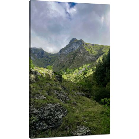 Leinwanddruck Natur Überwucherte Berge 70x120 cm