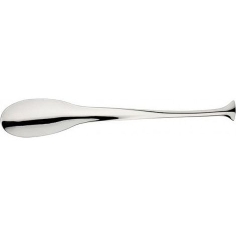 Set 12 cucchiaio caffè inox Pintinox Dolphin