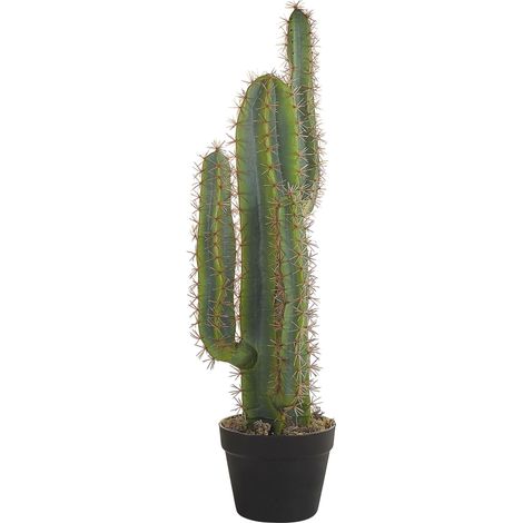 Pianta artificiale decorazione per Interni pianta finta in materiale sintetico 78 cm Cactus (1/5)