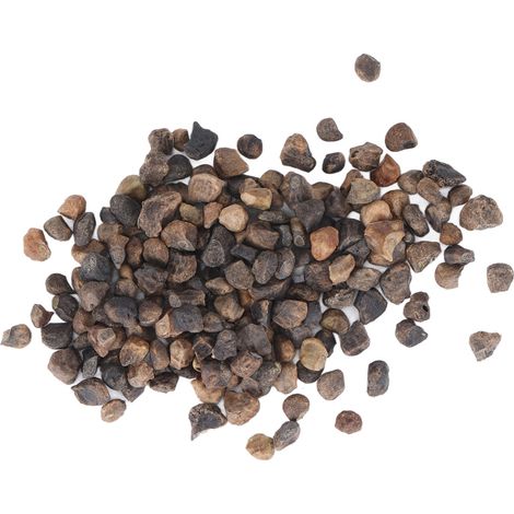 Graines de campanule 50g - Signification douce - Belles herbes élégantes - Fleurs bleues attrayantes en toutes saisons - Graines de campanule pour le jardin (1/5)