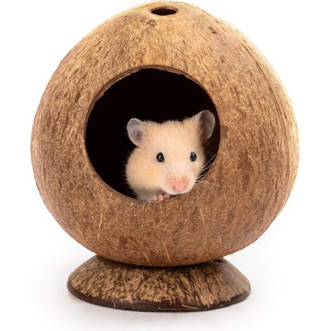 Niche en noix de coco pour hamsters, gerbilles, souris et autres petits animaux : décoration pour cage. (1/5)