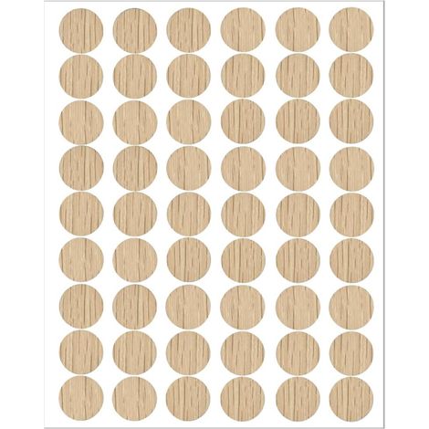 54 Pièces 21 mm Cache Trou Meuble Cache, Vis Adhesif Cache, Trou Mur Autocollants pour Armoires Murales Bureaux Réparations de Meubles (1/5)