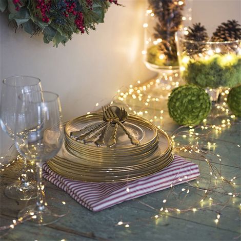 Guirlande Lumineuse - 200 LED - Fil de Cuivre Souple - 10 Brins - Décoration Intérieure et Extérieure - 2 m (1/5)