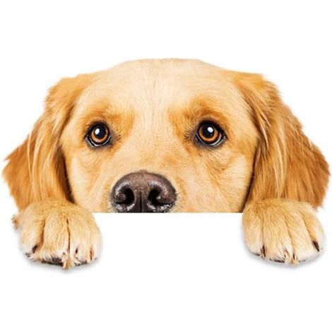 (A) Lustiger Hunde-Autoaufkleber, personalisierter 3D-Autoaufkleber
