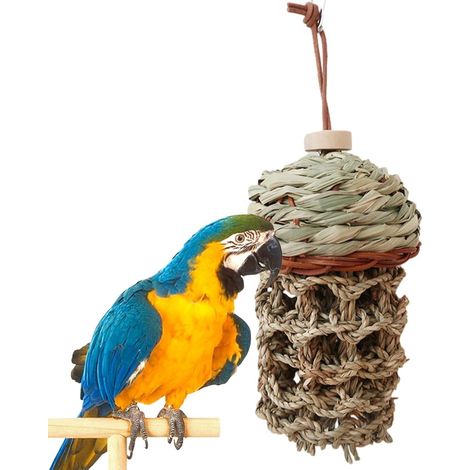 Jouets pour perroquets d'oiseaux,Morsure Cage Perroquet en Bois pour se détendre Perroquet Foraging Cup Jouet suggéré pour Les cacatoès aras, Gris Africain (1/5)