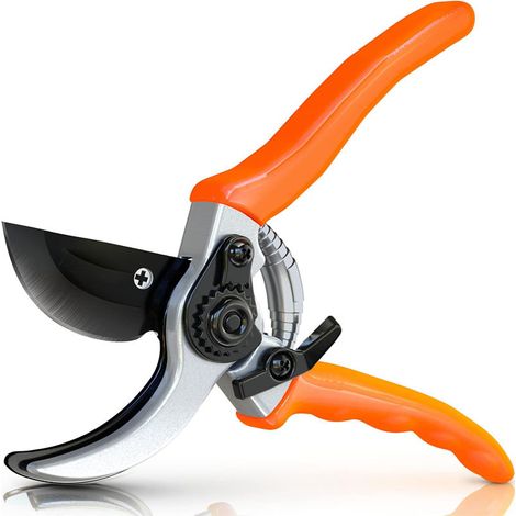Garden Shears, a fruit tree pruning and branch cutting service, is exclusively available through e-commerce. (1/4)