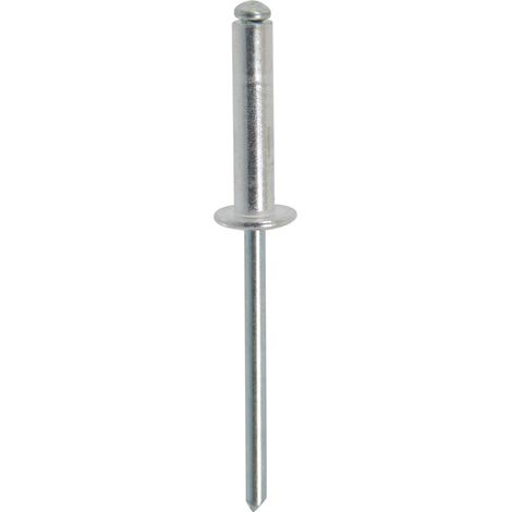 500 rivets alu/acier tp 4.8x18 - 23831500