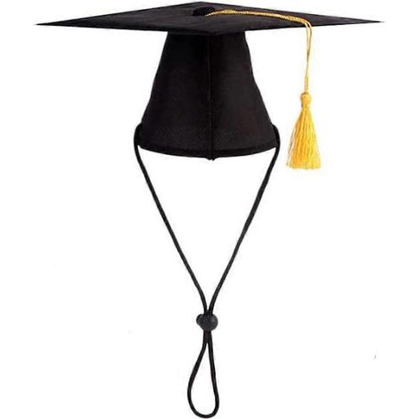 Chapeaux de déguisement pour chats et chiens, chapeaux de remise de diplômes, costumes de fêtes, chapeaux pour photos de chats
