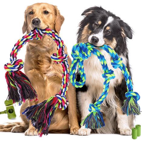 Robustes und langlebiges Hundespielzeug – Hundespielzeug – Hundebedarf – 2er-Pack – Zahnreinigungsspielzeug (1/5)