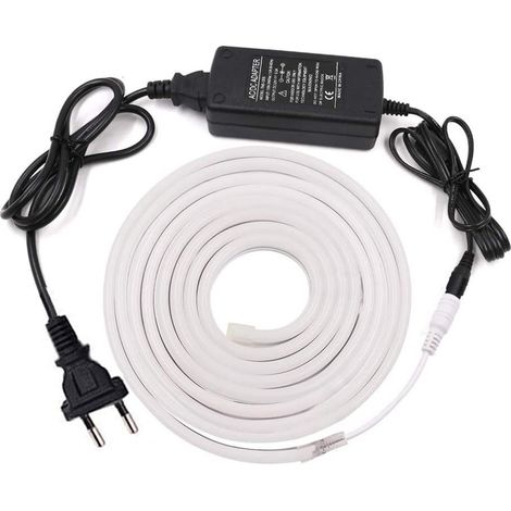 Bande LED néon flexible 5m avec 120 lumières LED pour intérieur et extérieur  Couleur: Blanc