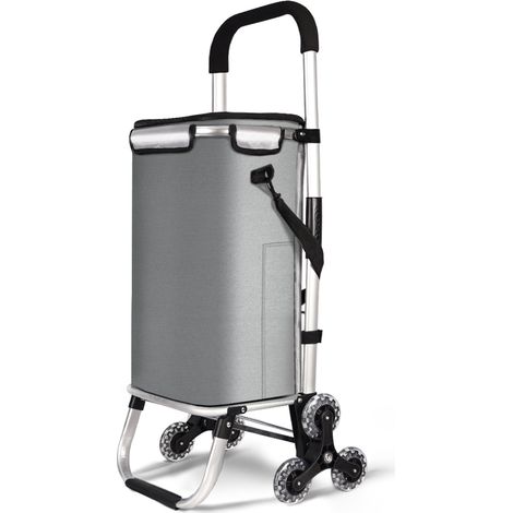 VOUNOT Carrello Spesa Pieghevole in Alluminio, Carrello Portaspesa 6 Ruote con Borsa Termico, 50 L Grigio (1/5)