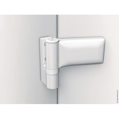 DR. HAHN Kunststofftürband KT-EV 18-23 mm Direktbefestigung120 kg RAL 9016 pulverbeschichtet Universal (1/2)