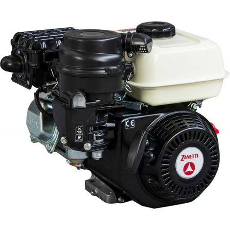 Motore completo ZANETTI ZBM210L4V albero cilindrico L4 Ã˜ 20 filtro aria a secco (1/2)
