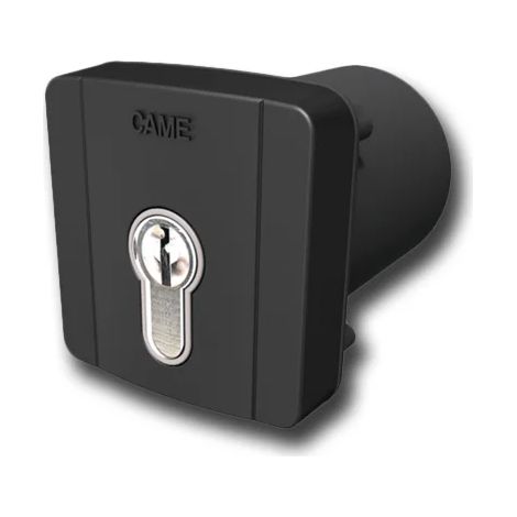 Selector de llaves incorporado CAME SELD2FAG 806SL-0100 (1/3)