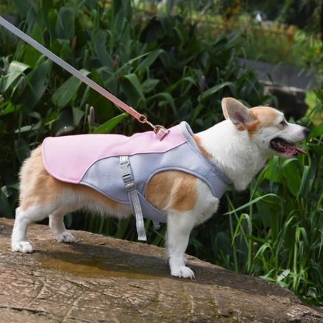 Chaleco refrescante para perros (rosa，Chaqueta refrescante para perros，Chaleco refrescante para perros，Con anilla en D ajustable (1/4)