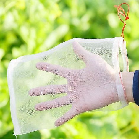 Sac en filet pour plantes de jardin : protection contre les insectes et les oiseaux - 25 x 35 cm (1/5)