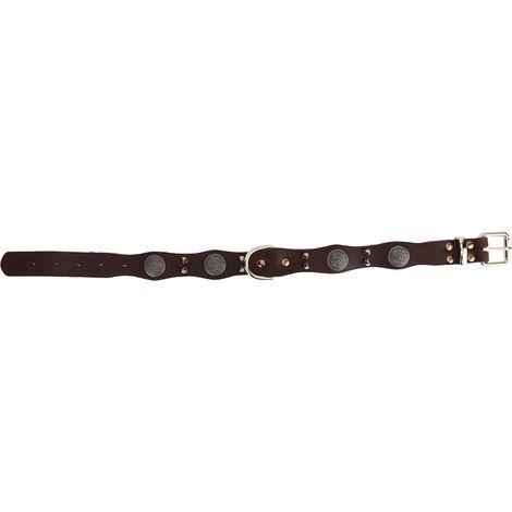 Collier Pour Chien - Cuir Artificiel Ajustable - Épines de Sécurité - Taille L - Pour Chiens Moyens et Grands (1/5)