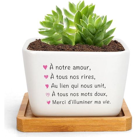 Flower Pot Indoor Gifts for Men Love (1/5)