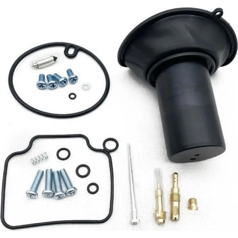 Applicable àKit de réparation de carburateur pour Honda VTX1300 CRS