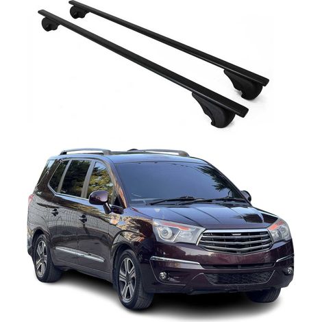 OMAC Dachträger Querträger für Ssangyong Rodius II 2012-2019 – Abschließbar – Max. 75 kg – 2 Stangen Stahl Schwarz (1/5)