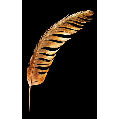Tableau Plume dorée - 50x80cm - made in France (1/5)