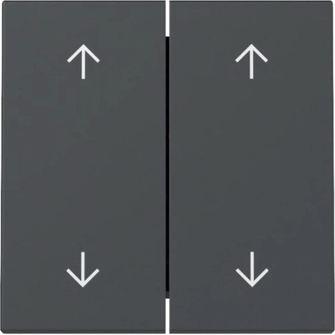 Interruttore Gira 329728 doppia freccia antracite