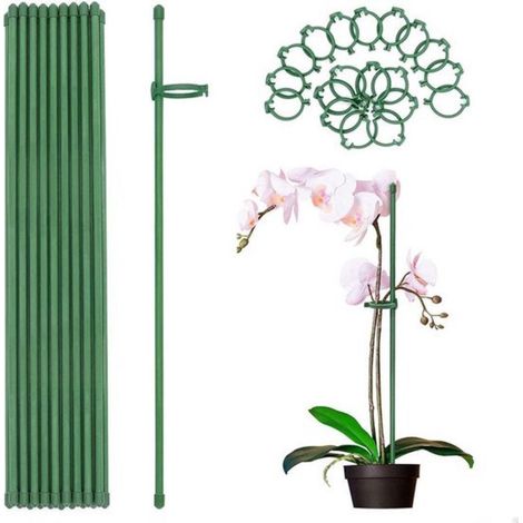 Support pour plantes - Support pour roses - Pour orchidées et vrilles - 40 cm - 12 pièces - Vert (1/5)