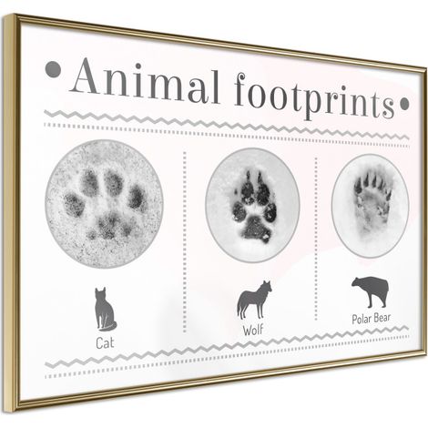 Affiche Murale Encadrée "How to Recognize an Animal" 45 x 30 cm Or