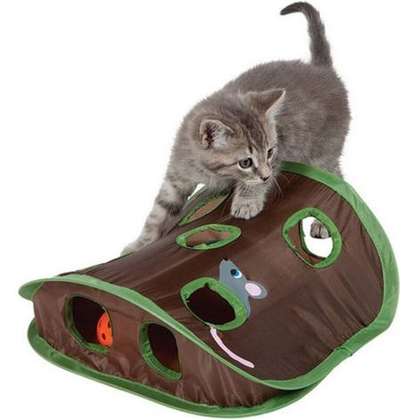 Qcwwy Jouet Pliable pour Chat, Souris Popup Ouverte, Chasse avec Boule de Cloche, Jouets Interactifs pour Animaux de Compagnie et Stimulation pour Plusieurs Chats (1/5)