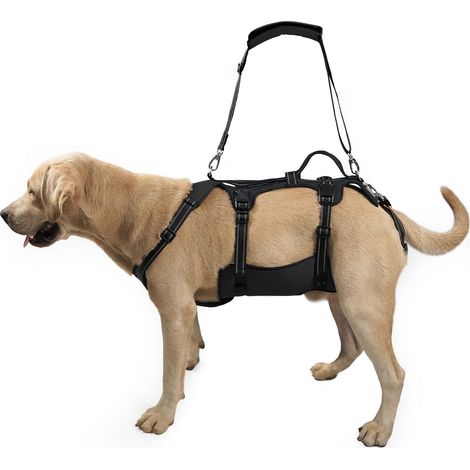 Harnais de maintien et d'aide à la marche pour chien avec poignée de transport et bandes réfléchissantes (1/5)