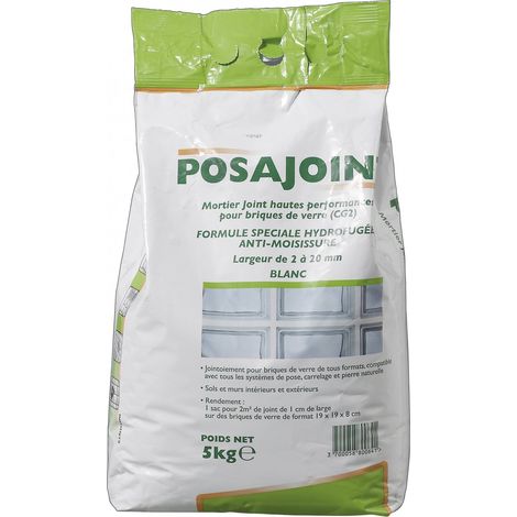 Sellador en polvo de ladrillo de vidrio blanco 5 kg, 2 m² Centrale Brico (1/4)