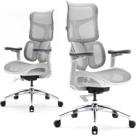 SIHOO Bürostuhl Ergonomischer-Mit Dualer Dynamischer Lordosenstütze, Schreibtischstuhl with 5-Fach Verstellbarer Rückenlehne, Office Chair with 4D-koordinierten Armlehnen(S100 Weiß)