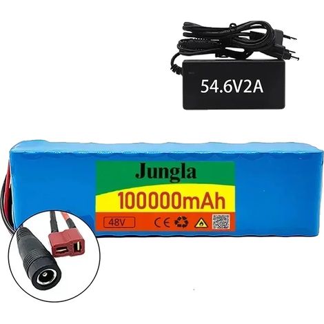 Lithium-Ionen-Batteriepack, 100Ah Kapazität, BMS-Schutz, T-DC-Ladegerät (1/2)