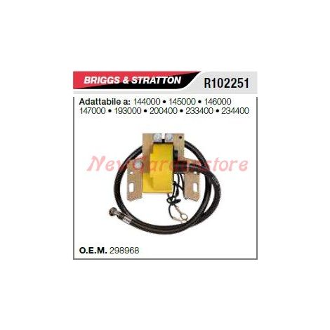 Bobina di accensione B&S tagliaerba tosaerba rasaerba 144000 145000 R102251