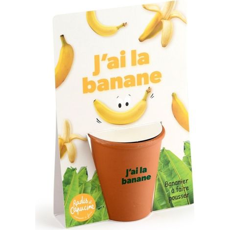 Carte message - J'ai la banane - Bananier (1/5)
