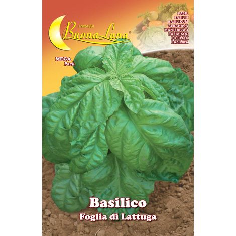 SEMI ORTO BASILICO FOGLIA LATTUGA- HORTUS SEMENTI- 10,0 pz