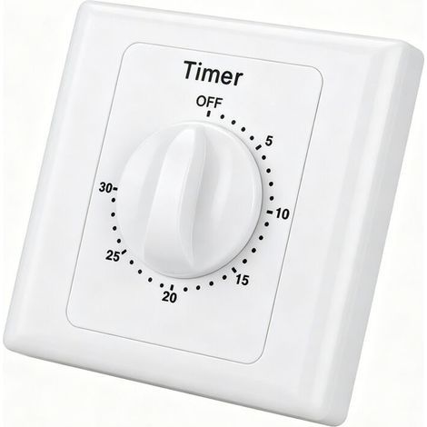 Analog flush-mount timer with 30-minute daily program (1/5)