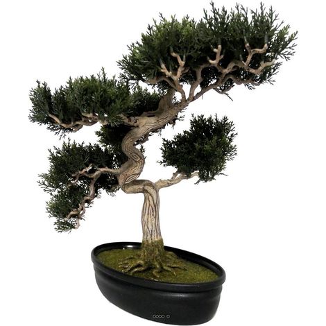 Bonsai artificiel Cedre H 43 X 40 CM 318 feuilles (1/4)