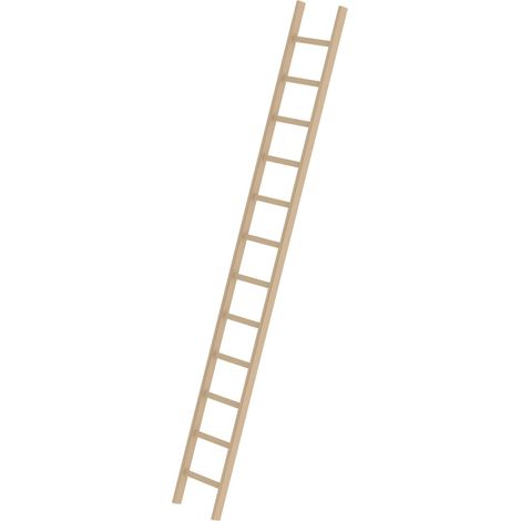 Günzburger Steigtechnik Sprossen-Anlegeleiter Holz ohne Traverse 12 Sprossen - 033112 (1/2)