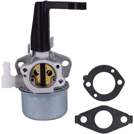 Carburateur 696065 697422 avec kit de joints de montage pour moteur de motoculteur Briggs & Stratton 110402 110412 215369 5HP 5,5HP 6HP 6,5HP 7HP Moteur motoculteur Troy Générateur Intek Moteur Pompe (1/4)