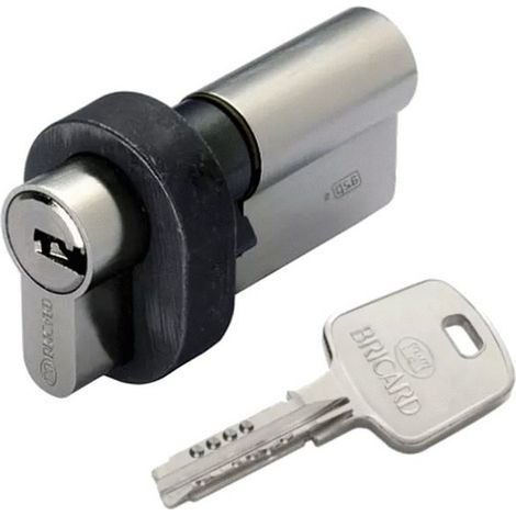BRICARD 4325820 Cylindre Double Entrée Varié Nickelé A2P 30 x 40 mm avec Protecteur SERIAL, 10 Goupilles, 1,6 Million de Combinaisons, Anticorrosion (1/4)